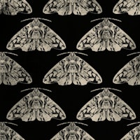 Gothic Moth Motif tapeta