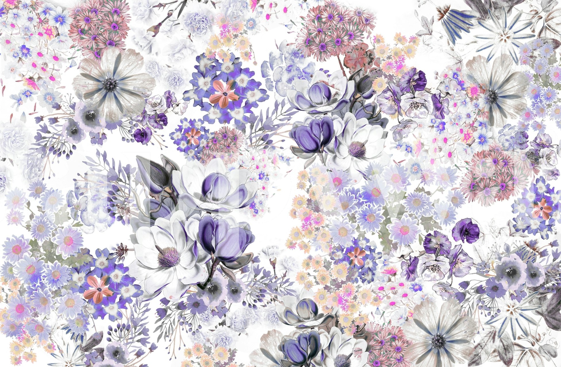 Carta da parati Pastel delicate petals in una stanza