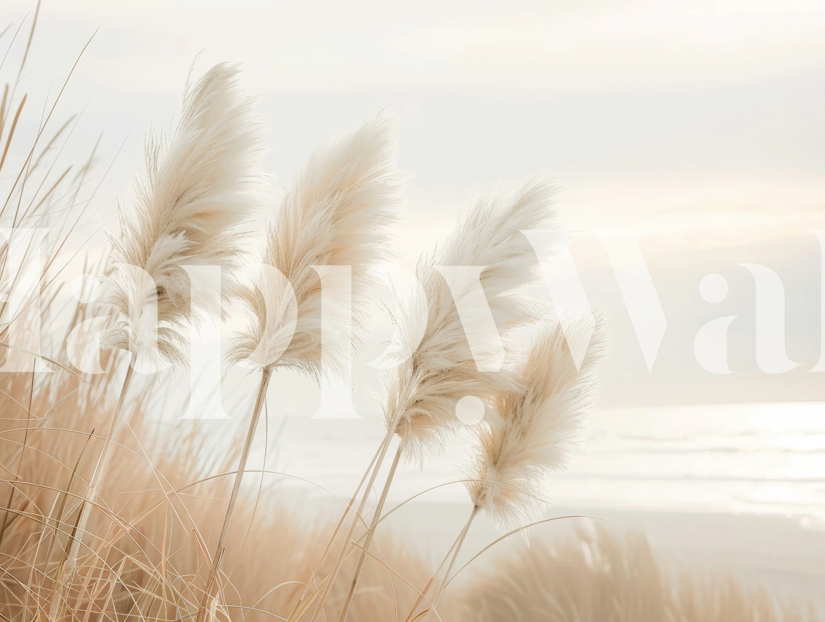 Pampas grass wallpaper huoneessa