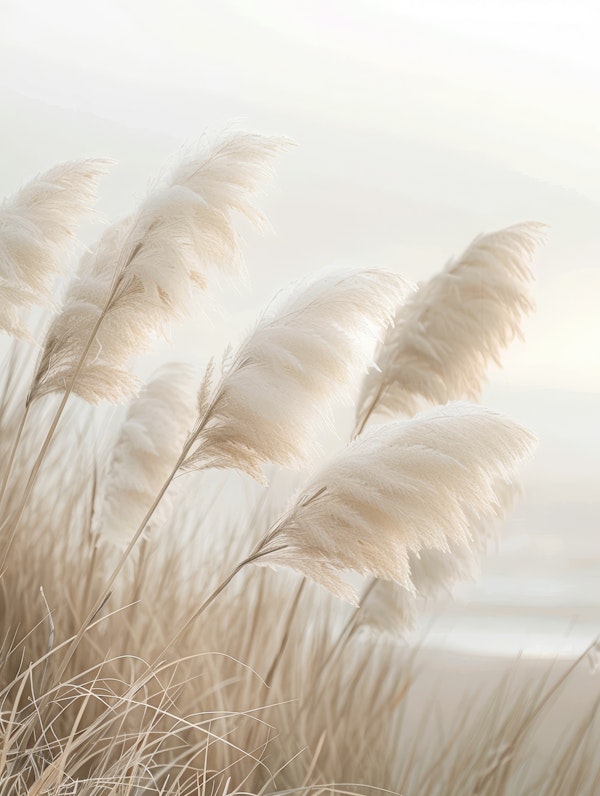 Poetry by the sea - Pampas grass