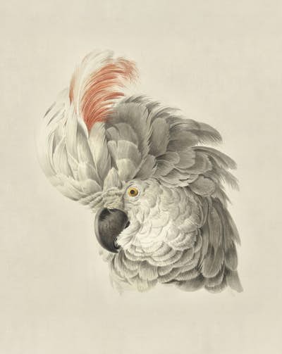 Τοιχογραφία