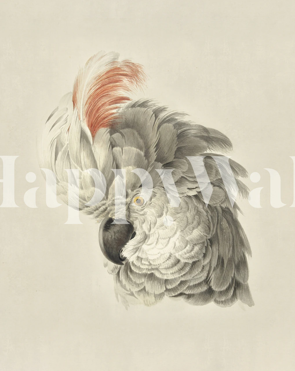 White Cockatoo Portrait Tapete in einem Raum