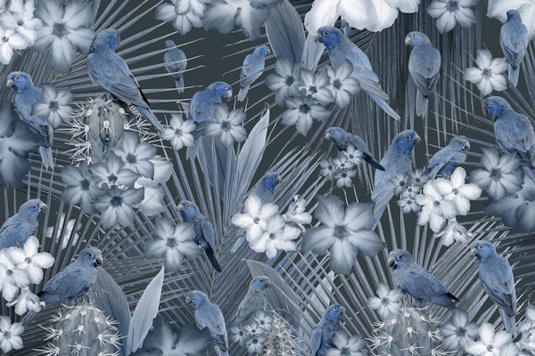 Exotic Bird Paradise 3