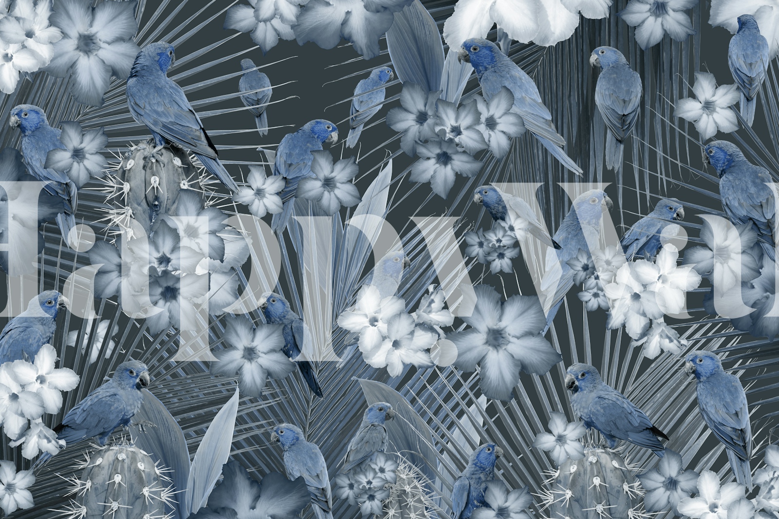 Photo inspiration: Visual Reference: Exotic Bird Paradise 3 Wallpaper