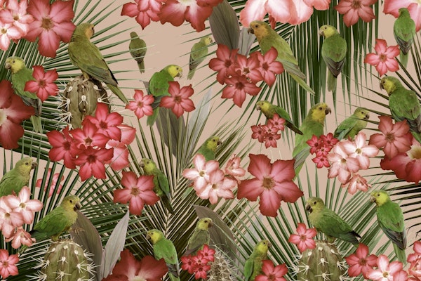 Exotic Bird Paradise 4