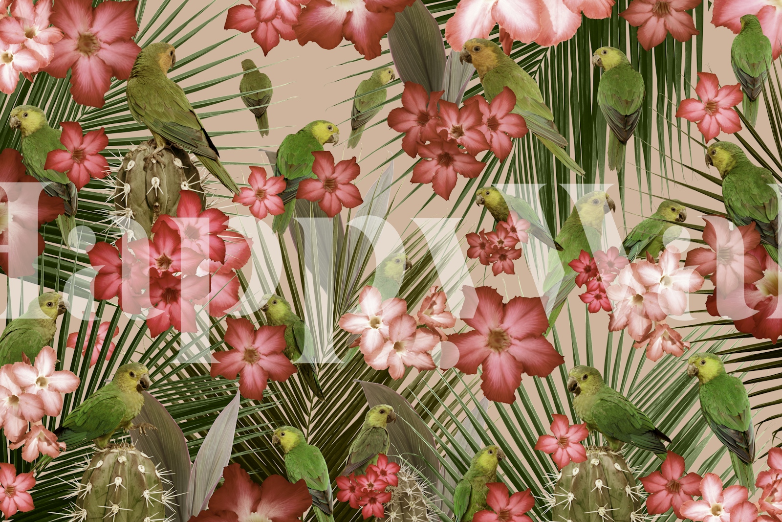 Curated visual reference: Fresh Look at Exotic Bird Paradise 4