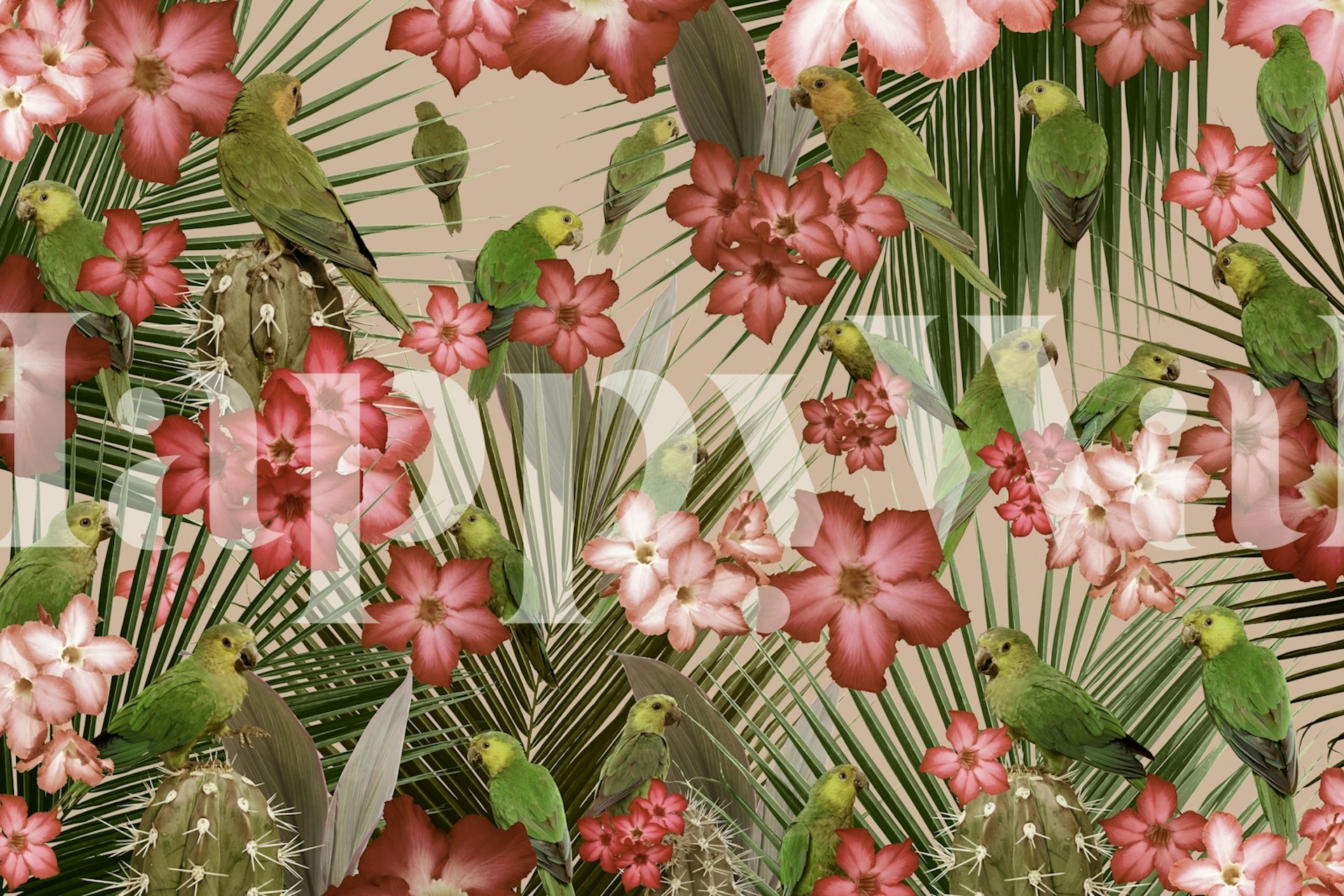 Exotic Bird Paradise 4 wallpaper in a room