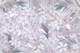 Pastel Flamingo Jungle Love 4