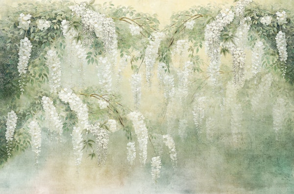 White Wisteria Bliss Dream