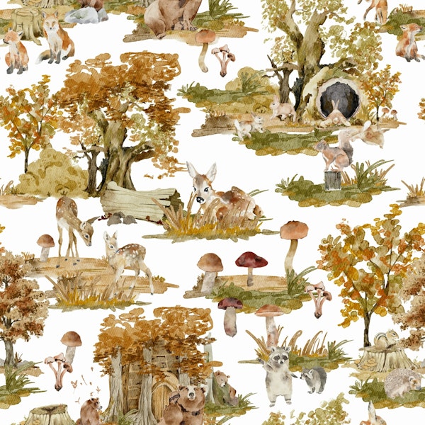 Autumn Woodland Scene