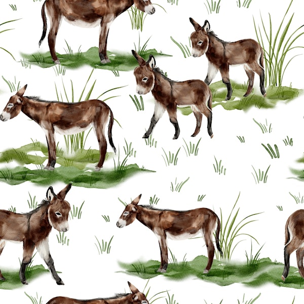 Grazing Donkeys Meadow