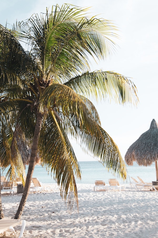 Caribbean Beach Bliss 9