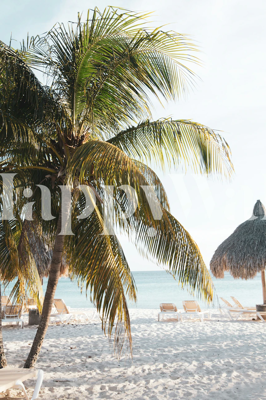Caribbean Beach wallpaper in een kamer