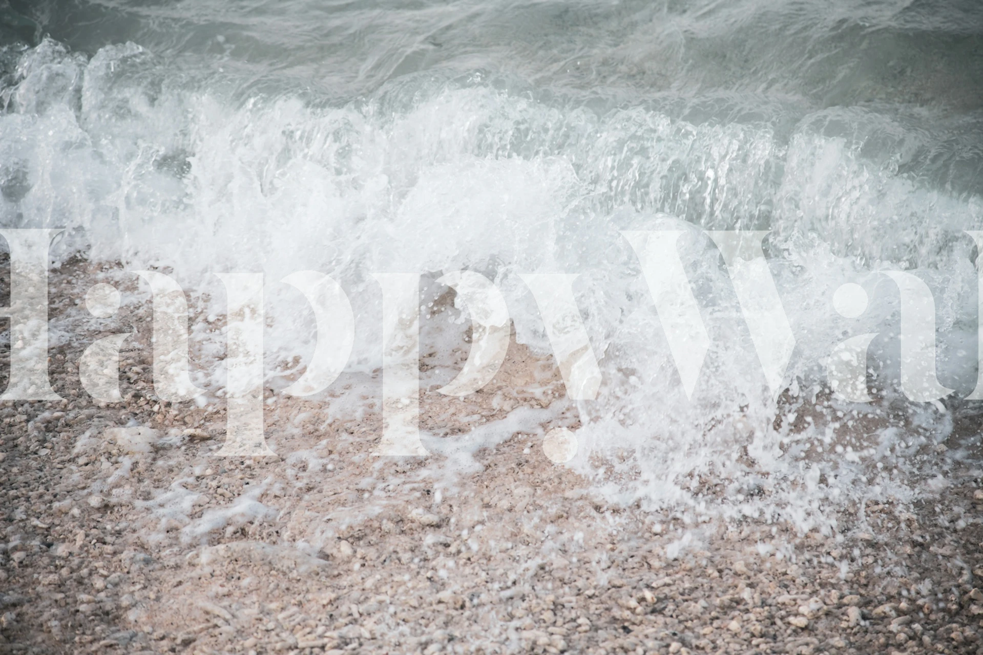 Tropical Shoreline Bliss 3 wallpaper in a room