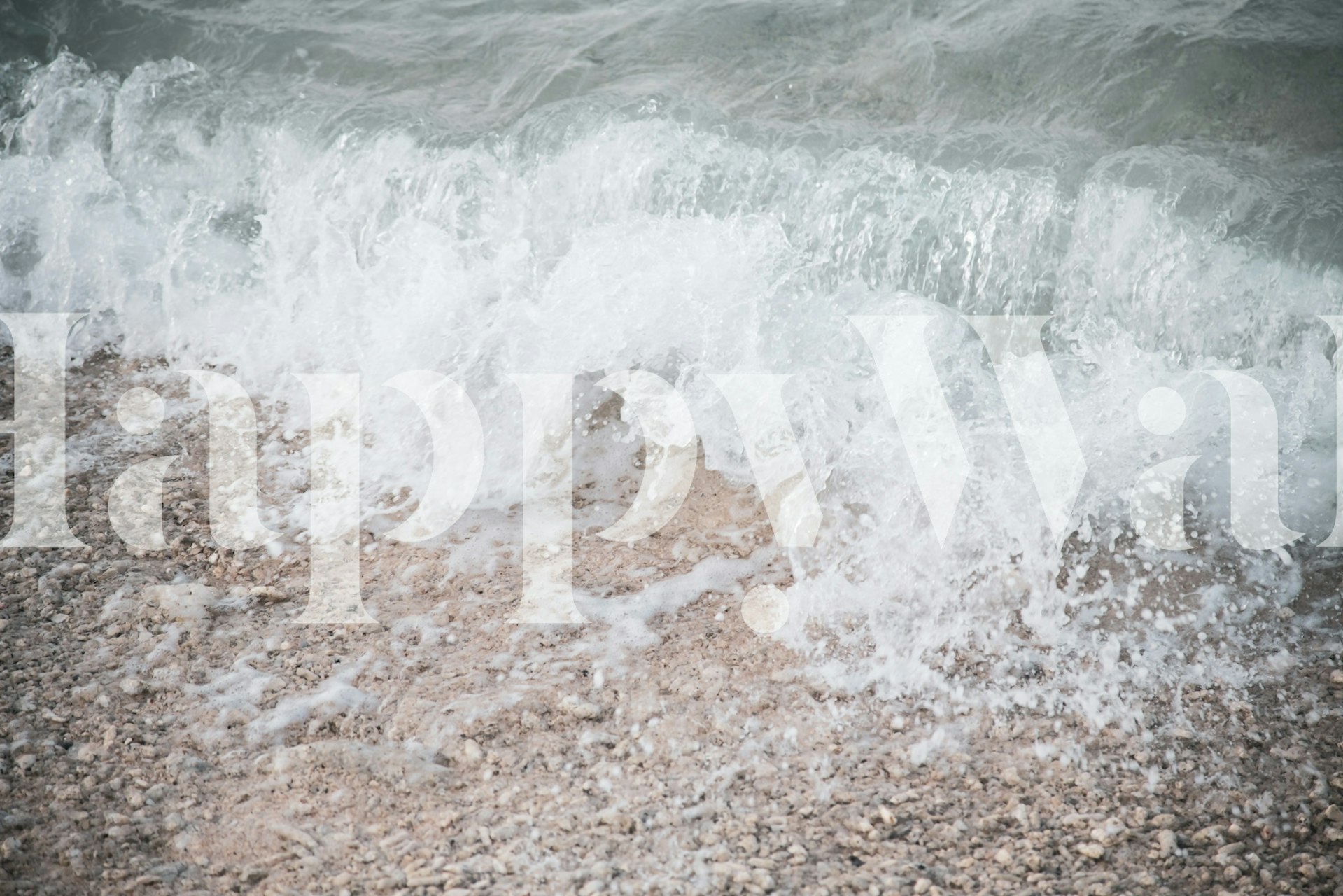 Tropical Shoreline Bliss 3 wallpaper in a room