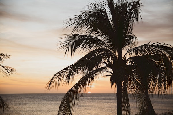 Golden Hour Tranquility 1