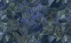 Blue Green Tropical Jungle Vibes