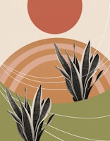 Snake Plant in the Desert 1 ταπετσαρία