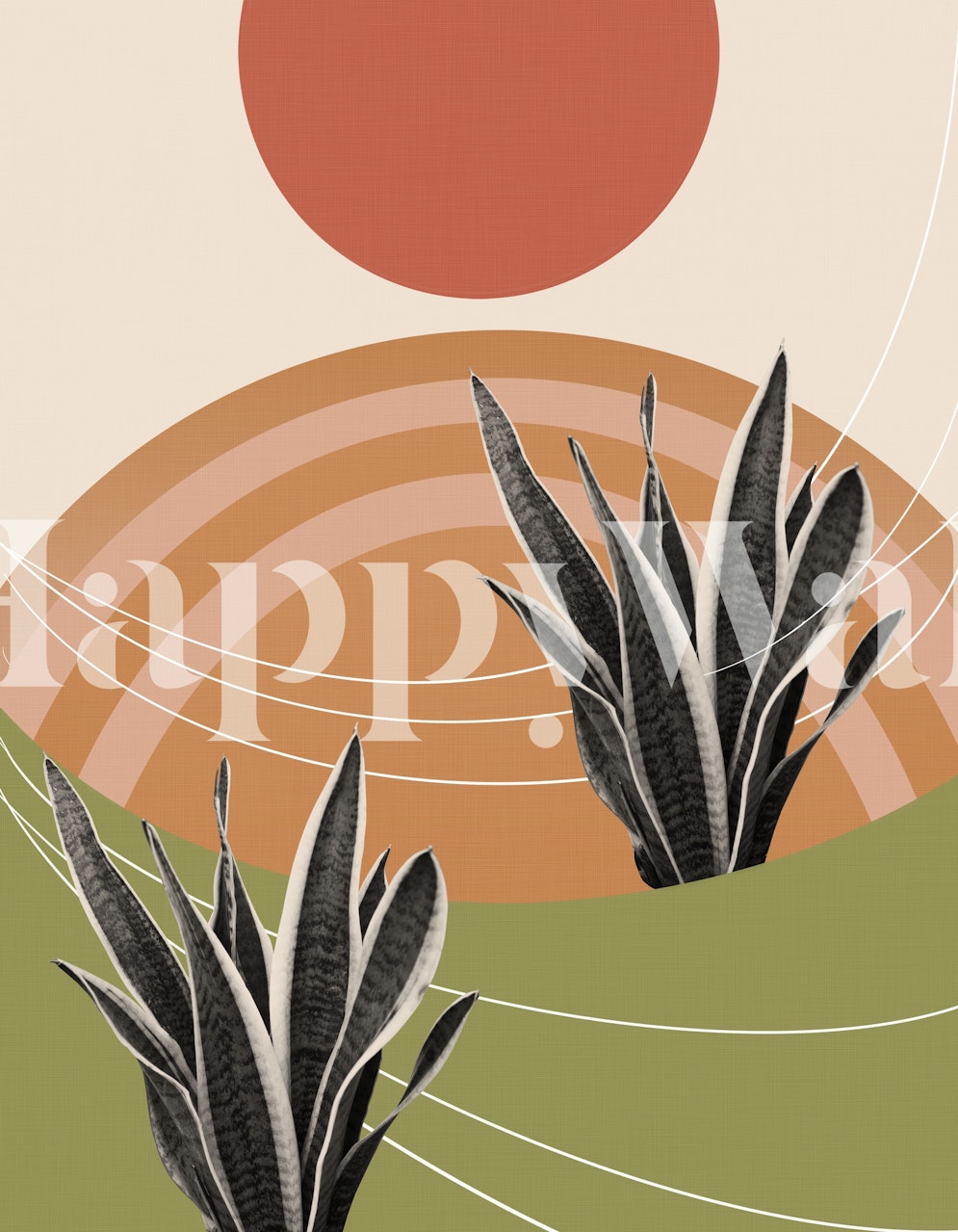 Snake Plant in the Desert 1 huoneen asetelmassa