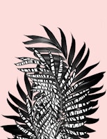 Palm Leaves Tiger Stripe  1 ταπετσαρία