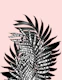Palm Leaves Tiger Stripe  1