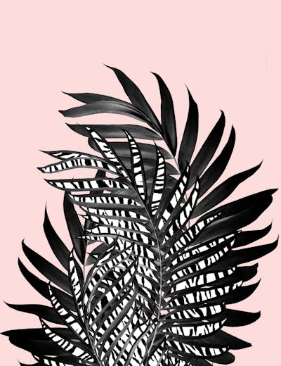 Τοιχογραφία