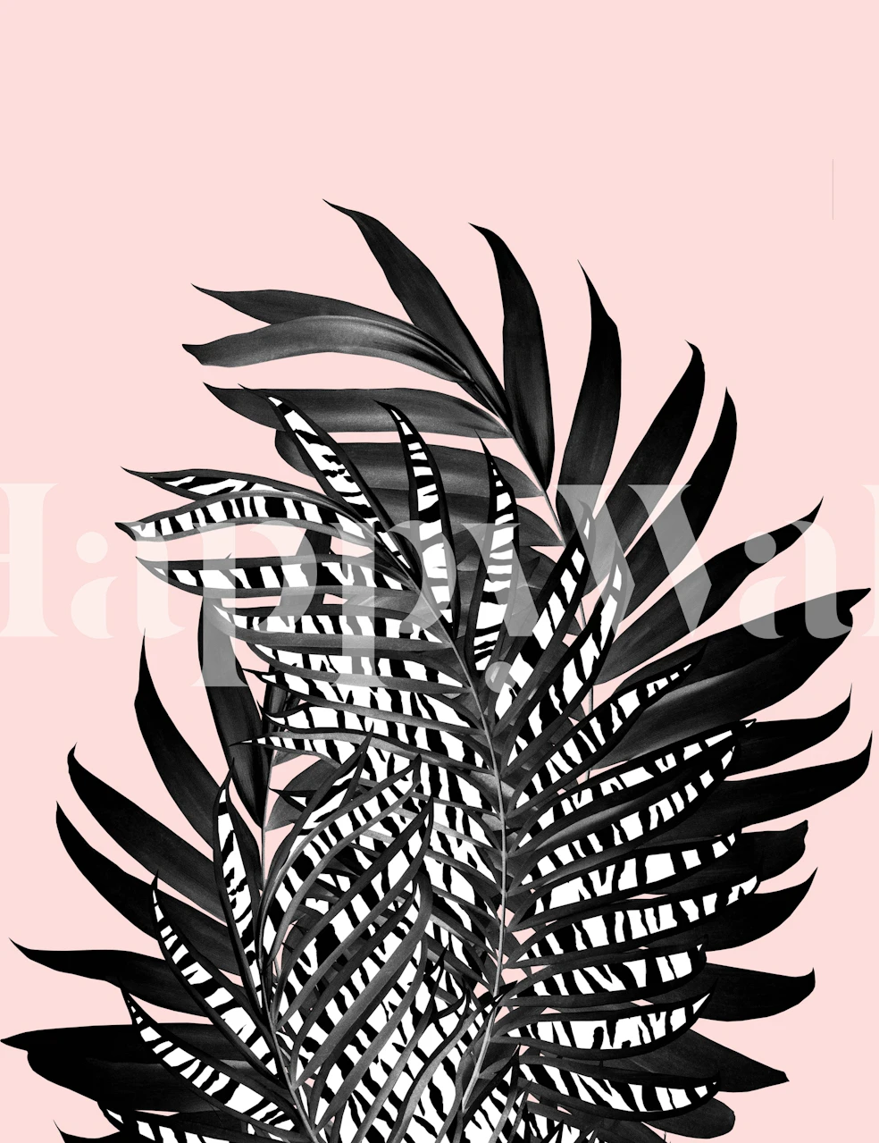 Black and white striped tropical palm leaves on pink wallpaper