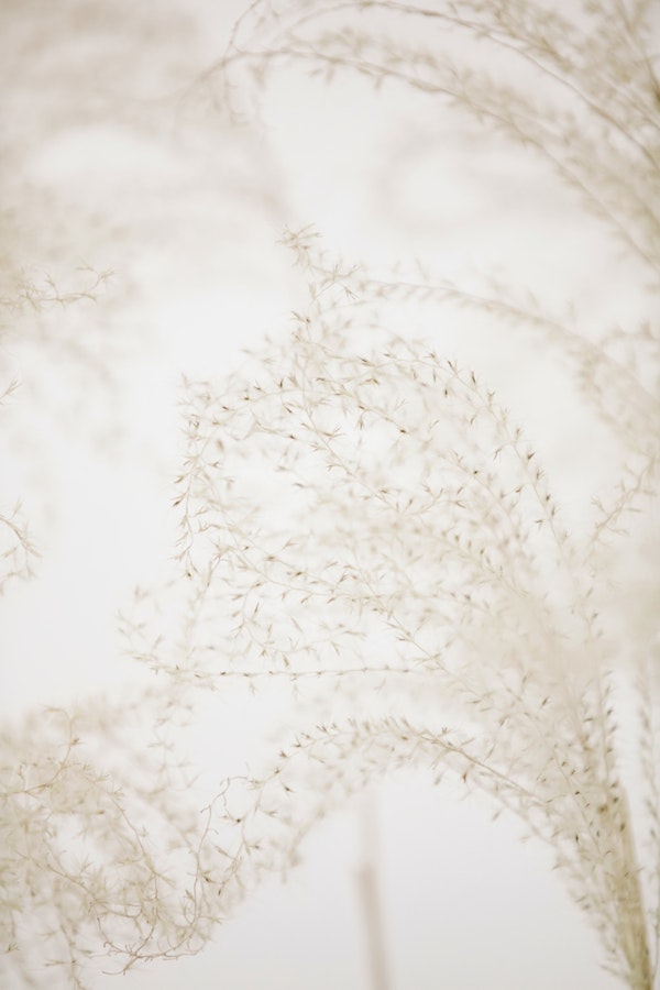 Soft Foliage Grass Serenade