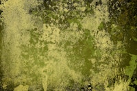 Concrete texture in olive green wallpaper