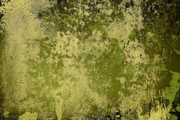 Concrete texture in olive green