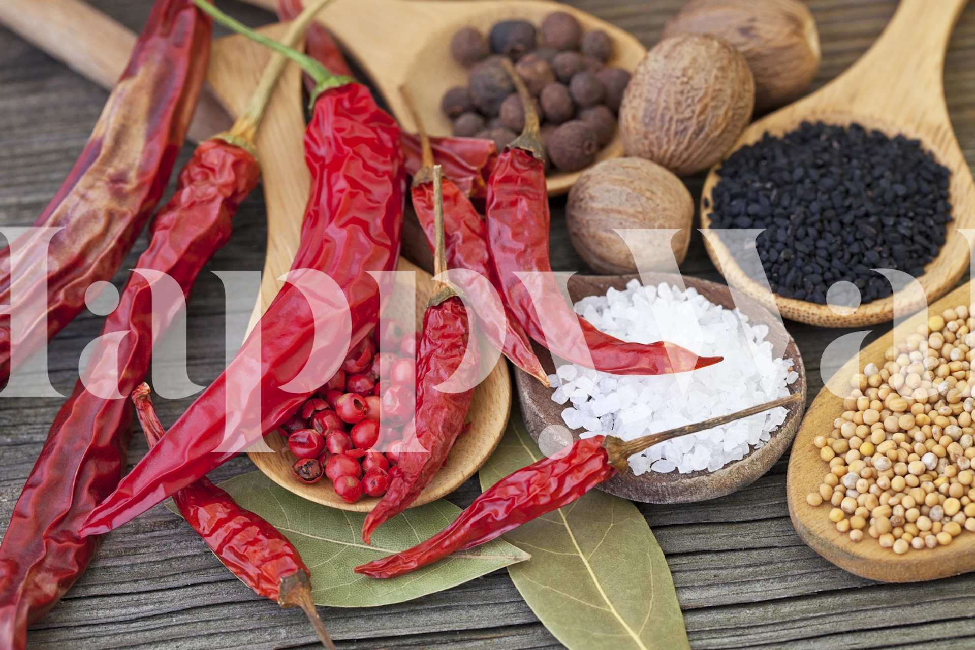 Papier peint Spicy Kitchen dans un design vibrant