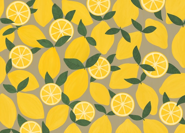 Sunny Citrus Grove