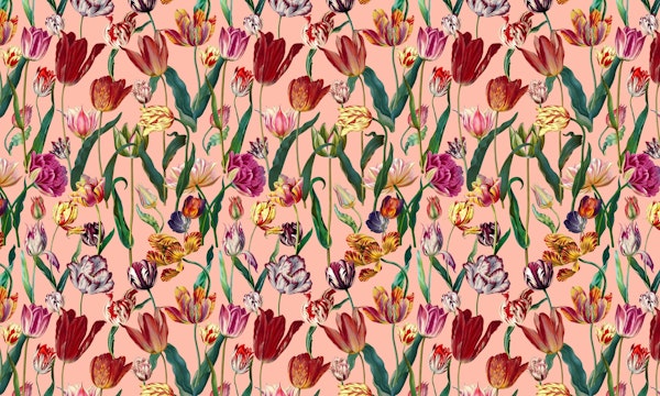 Magica Tulip Pattern VII