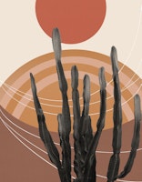 Cactus in the Desert 1 wallpaper