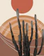 Cactus in the Desert 1