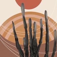 Cactus in the Desert 1 tapet