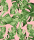 Monstera Leaves Blush Summer 1