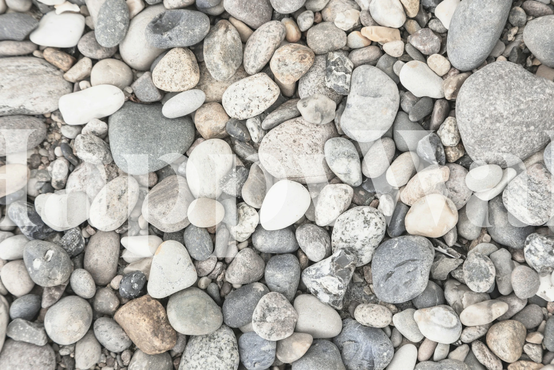 Gray pebbles in various shapes and sizes wallpaper