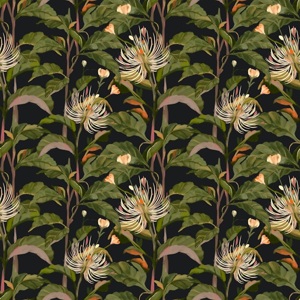 Exotic Botanic Haven