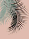 Palm Leaves Green Terracotta 1