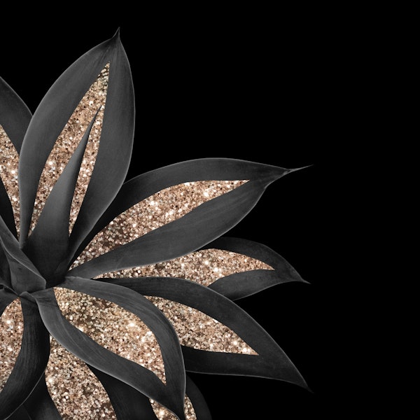 Agave Finesse Glitter Glam 8