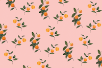 Sunkissed Oranges on Soft Pink ταπετσαρία