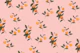 Sunkissed Oranges on Soft Pink