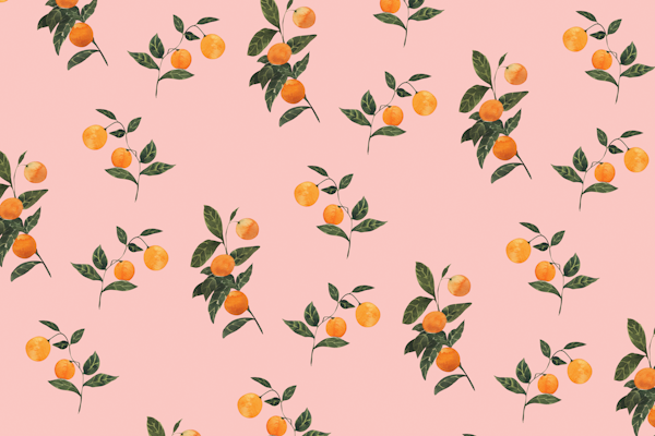 Sunkissed Oranges on Soft Pink