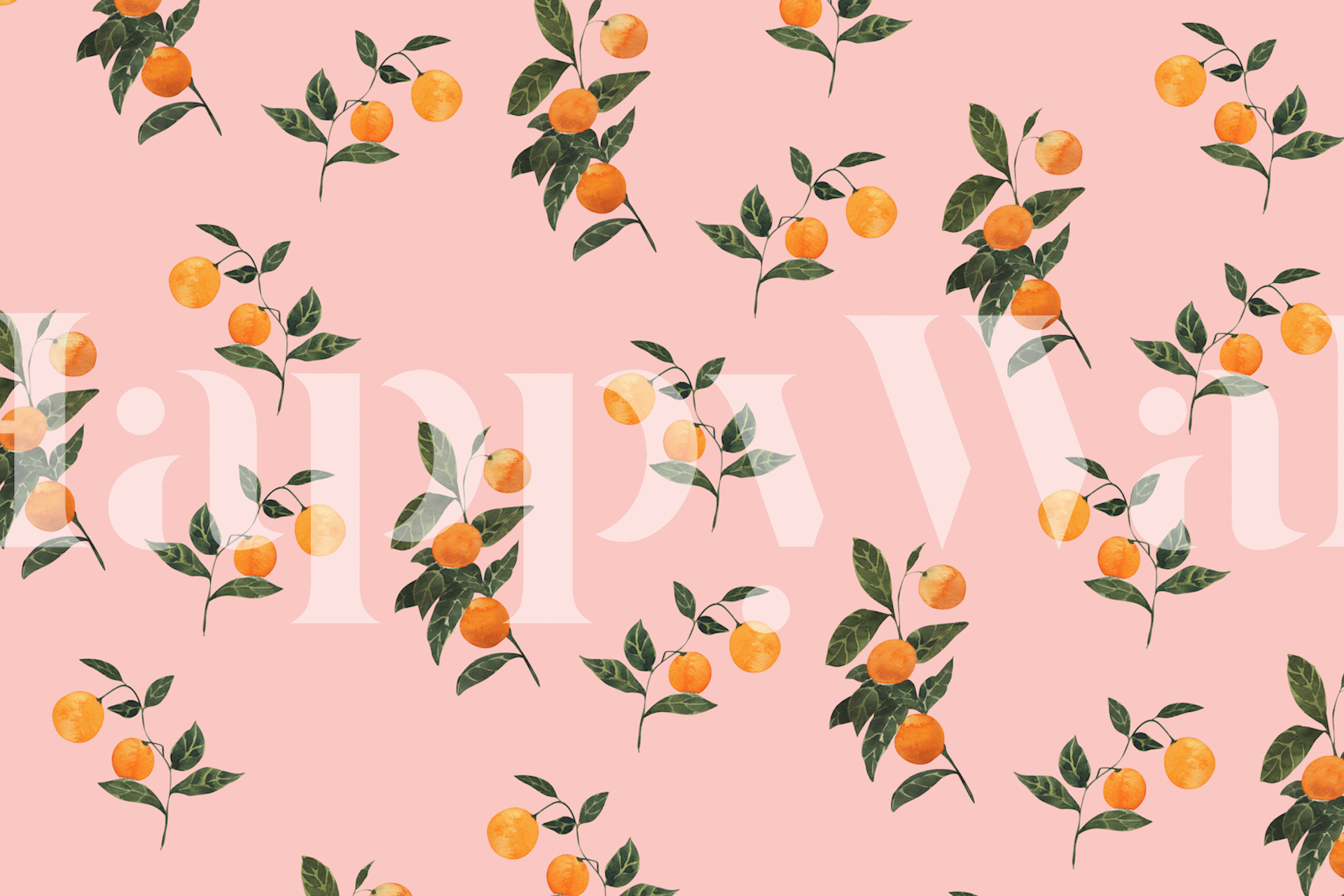 Sunkissed oranges wallpaper design on pink
