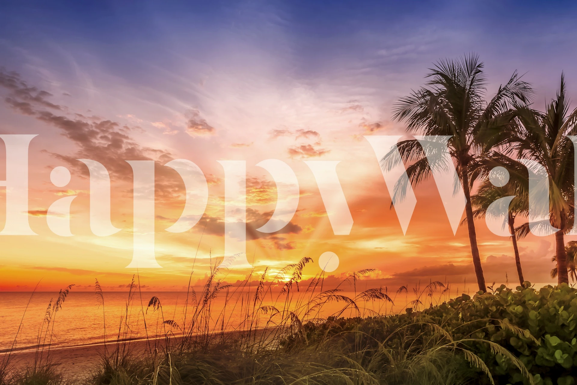 Bonita Beach sunset wallpaper in a room