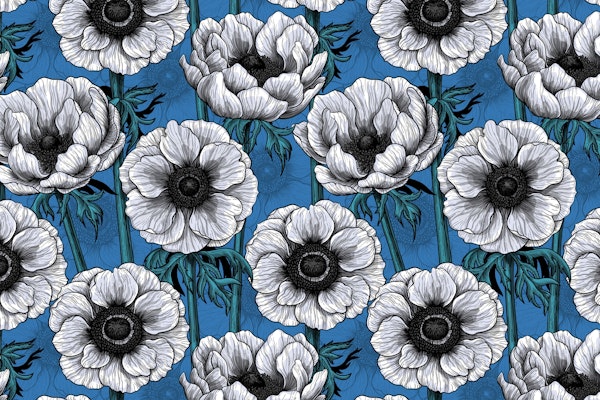 White anemone garden