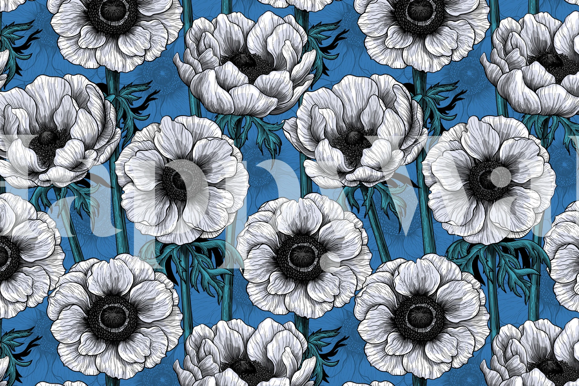 White anemone flowers on blue wallpaper