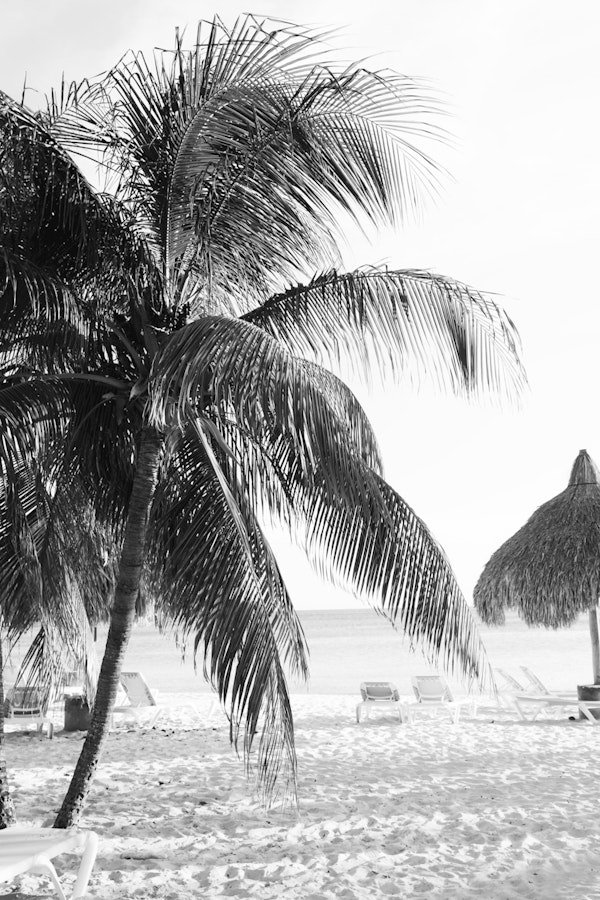 Caribbean Beach Bliss 10