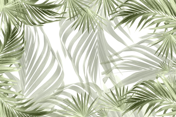 Green Palm Bliss 1